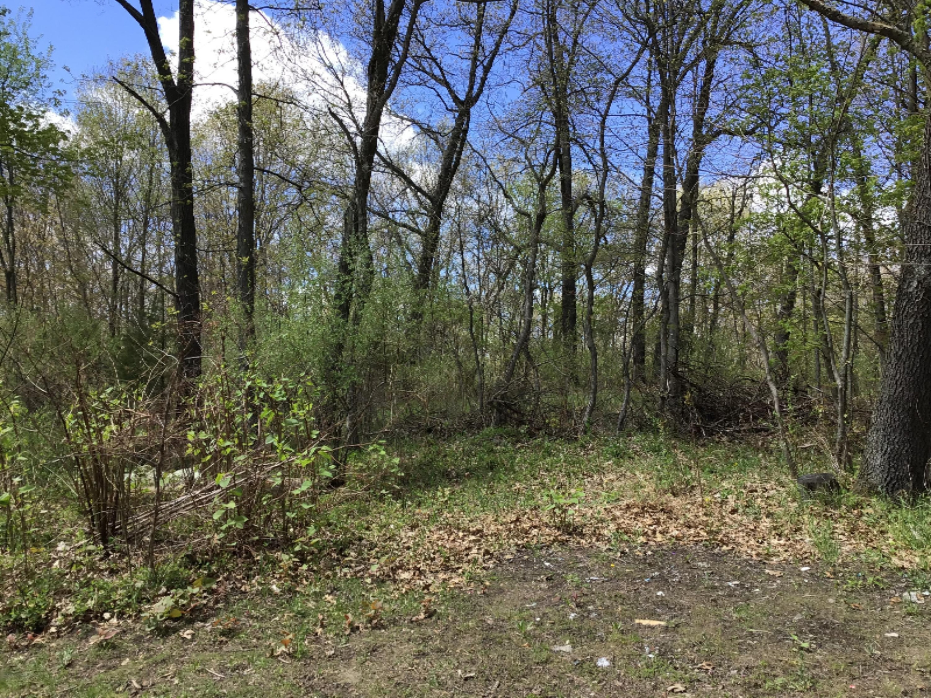 8131 Marsh Road Plainwell, MI 49080 - Photo 24 of 24 1ED67EF1-2EFD-4507-A525-9A4072064B55