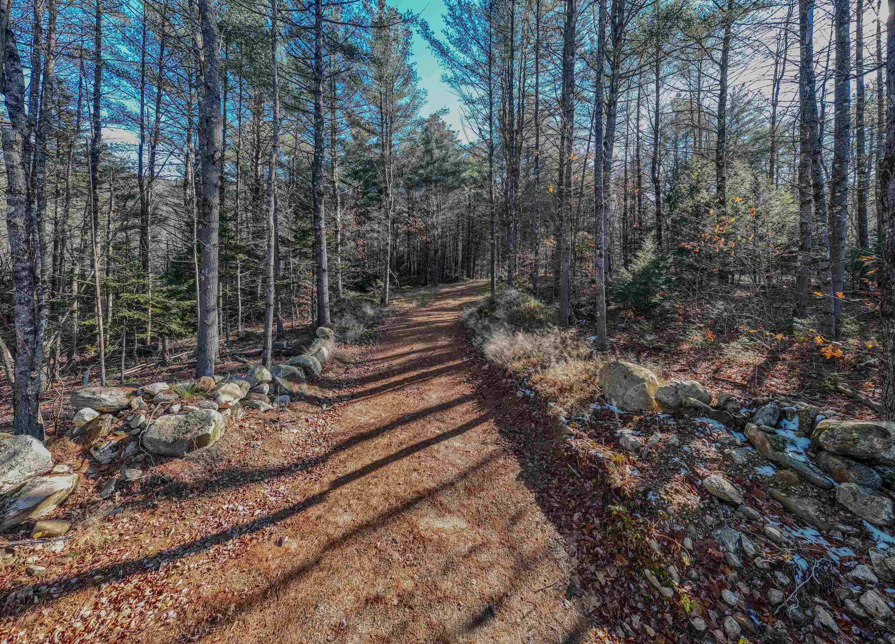 0 Perch Pond Road Holderness, NH 03245 - Photo 14 of 20