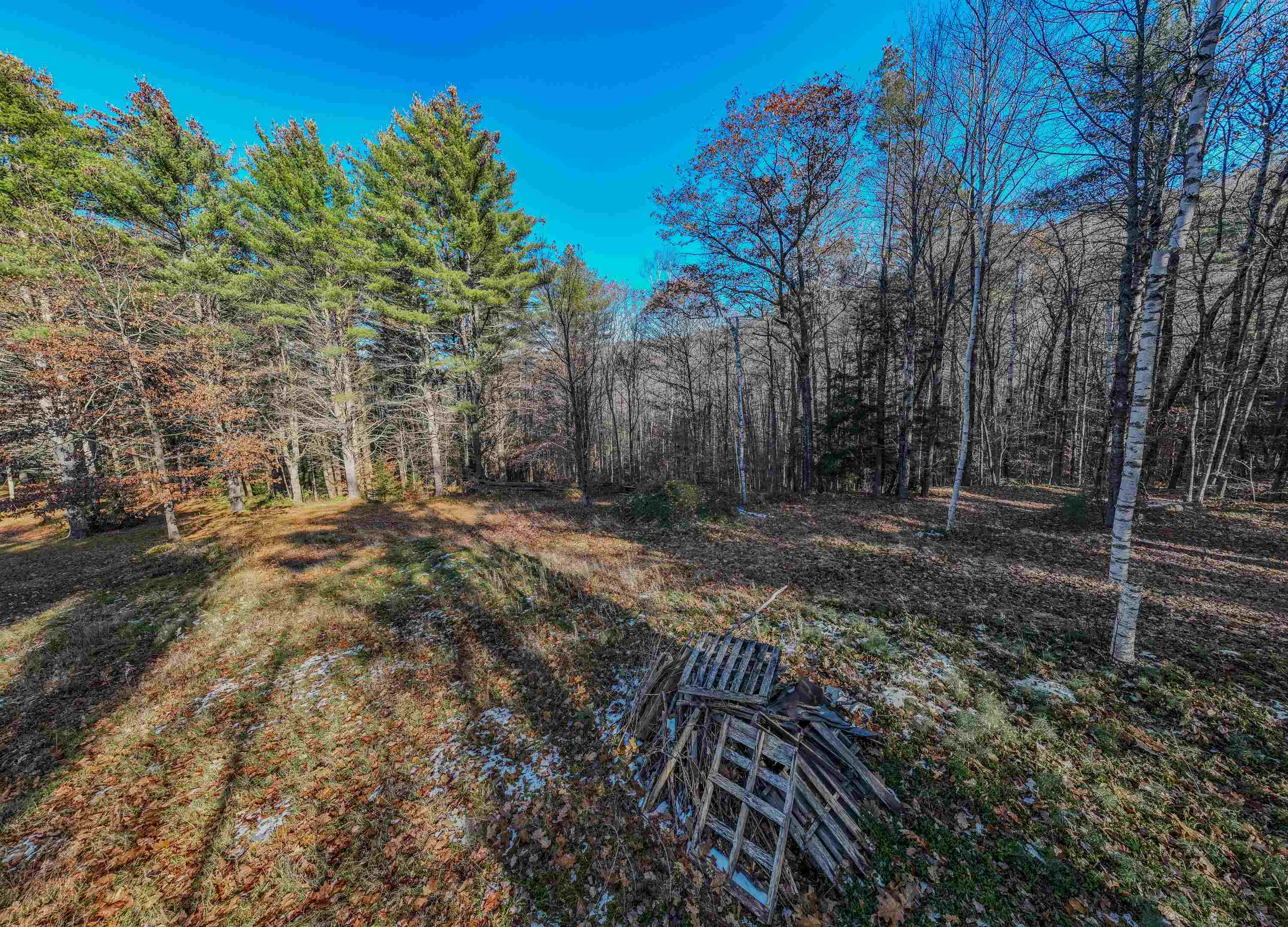 0 Perch Pond Road Holderness, NH 03245 - Photo 16 of 20