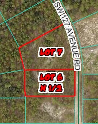 Tbd Southwest 127th Ave Road Ocala, FL 34481 - Photo 3 of 13 Gallery Image 3
