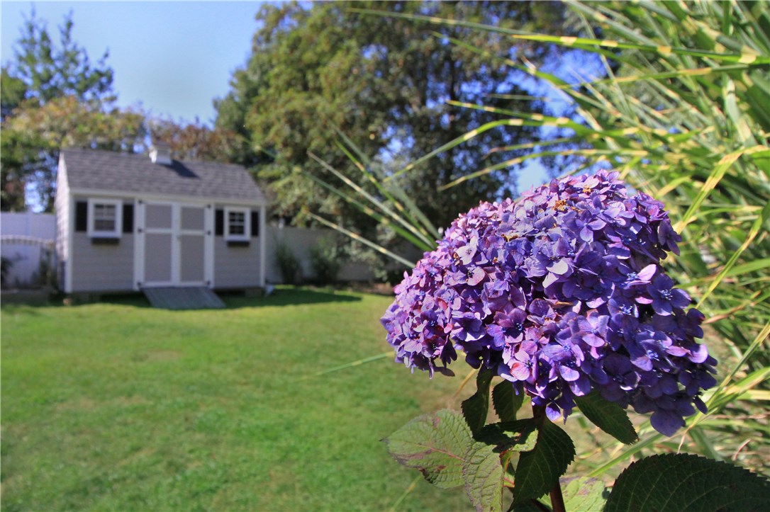 36 Seneca Road Portsmouth, RI 02871 - Photo 44 of 48 Mature perennials through the yard.