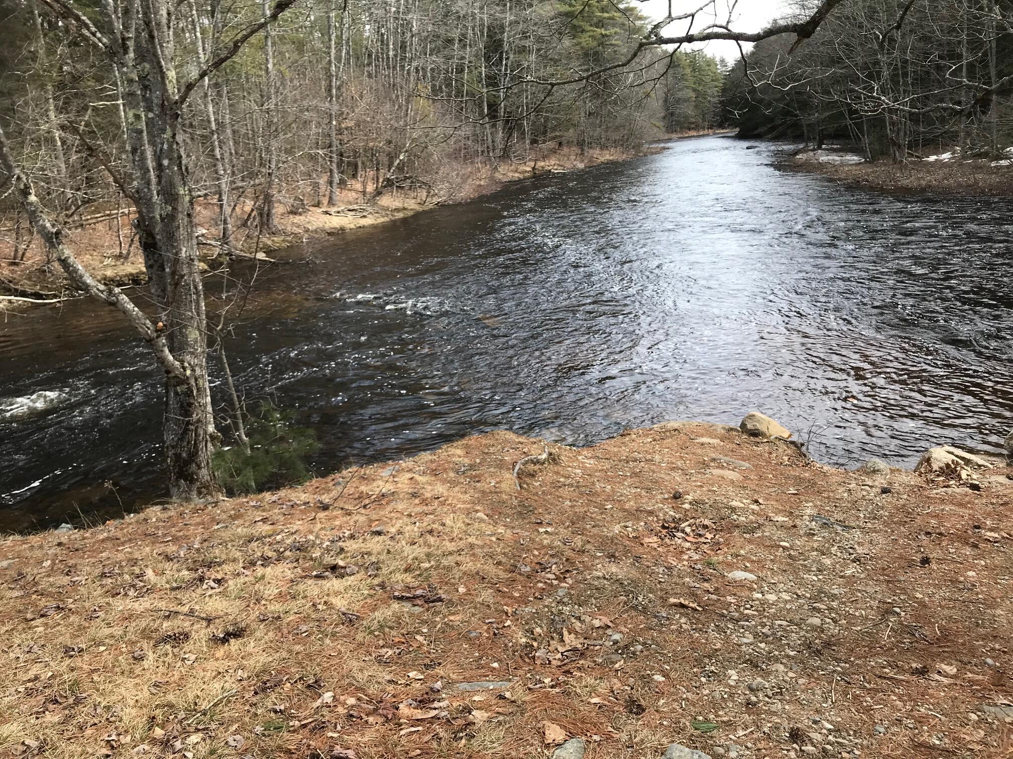 0 Foss Road Limerick, ME 04048 - Photo 6 of 24 IMG_0463