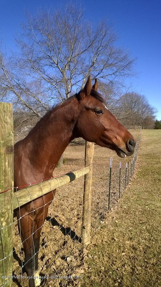 366 Fonzie Scott Road Coldwater, MS 38618 - Photo 23 of 33 bo fenceline
