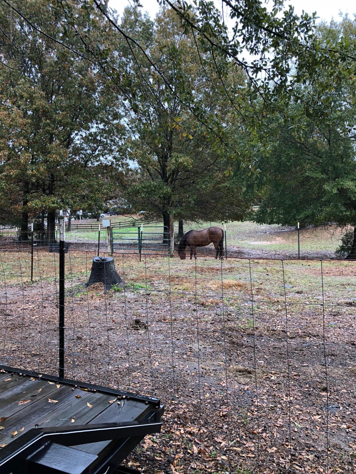 366 Fonzie Scott Road Coldwater, MS 38618 - Photo 26 of 33 IMG_1051