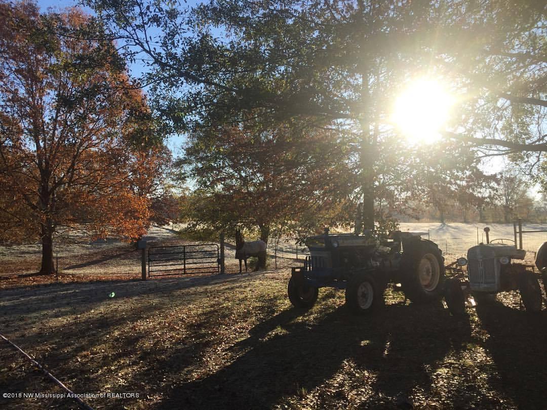 366 Fonzie Scott Road Coldwater, MS 38618 - Photo 28 of 33 sunrise 2