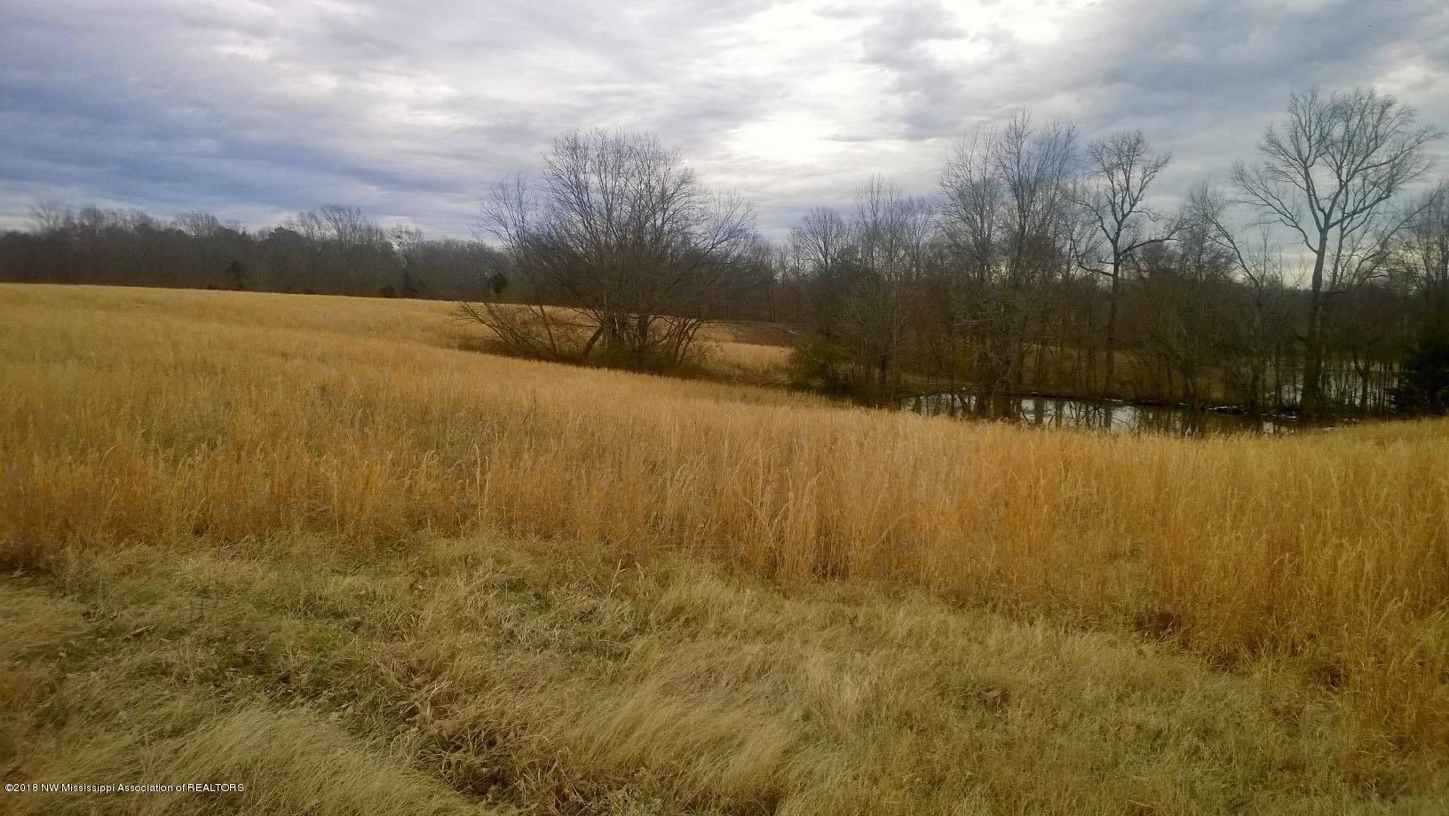 366 Fonzie Scott Road Coldwater, MS 38618 - Photo 29 of 33 fall pasture