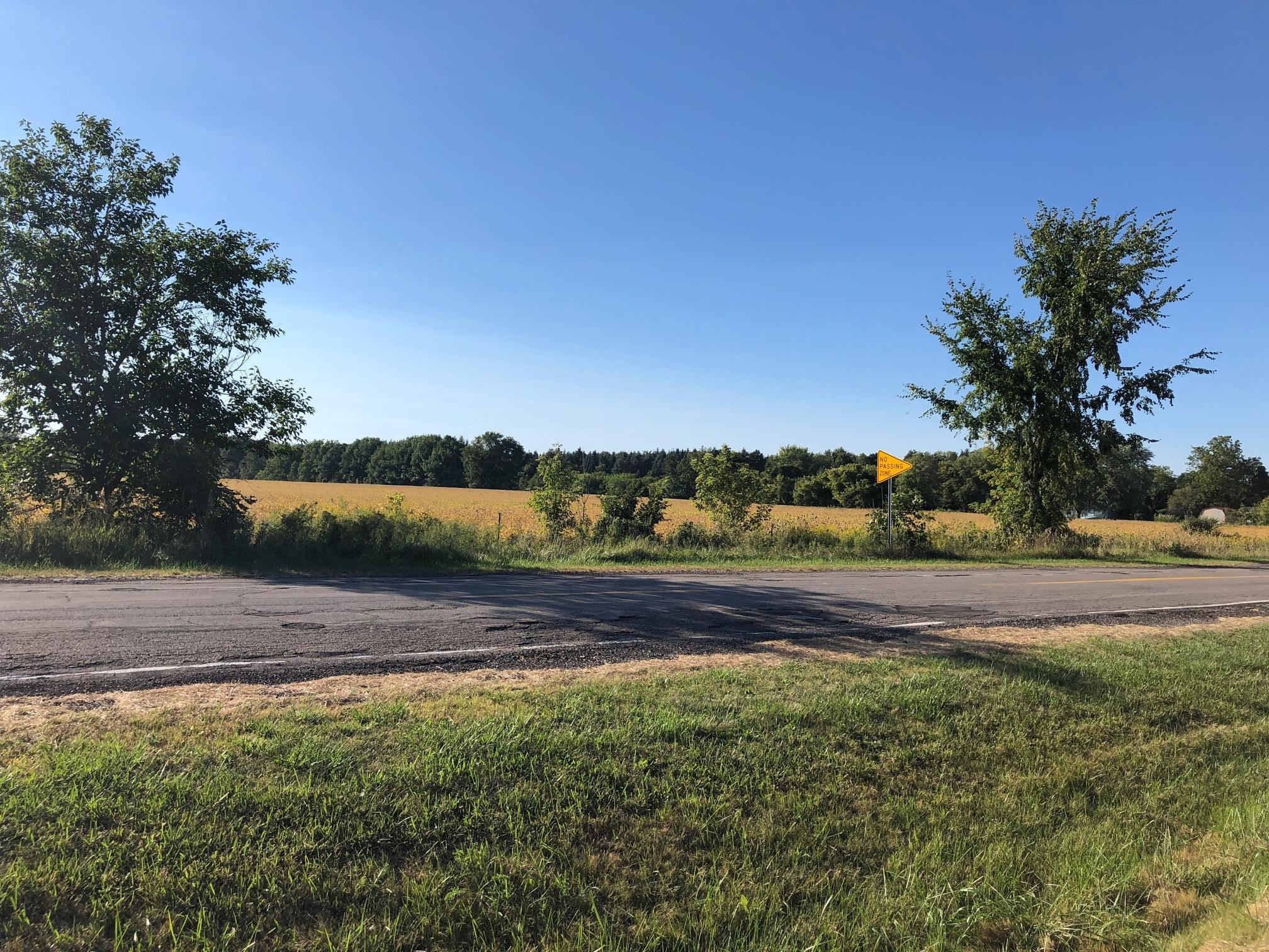 8330 North Webster Road Clio, MI 48420 - Photo 29 of 30 Street view facing NW