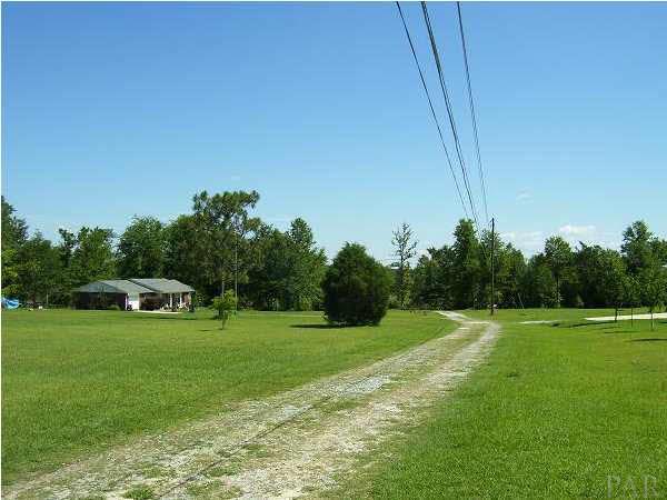 1128 Jacks Branch Road Cantonment, FL 32533 - Photo 3 of 8 View looking down the drive to the home from the street