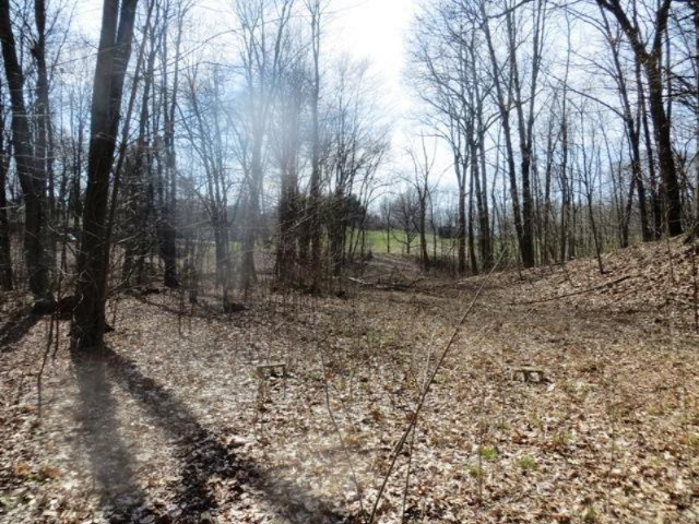 0 Head Road Delton, MI 49046 - Photo 12 of 14 long lake 014