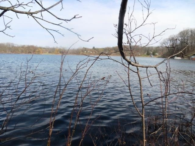 0 Head Road Delton, MI 49046 - Photo 14 of 14 long lake 008