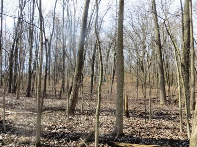 0 Head Road Delton, MI 49046 - Photo 9 of 14 long lake 011