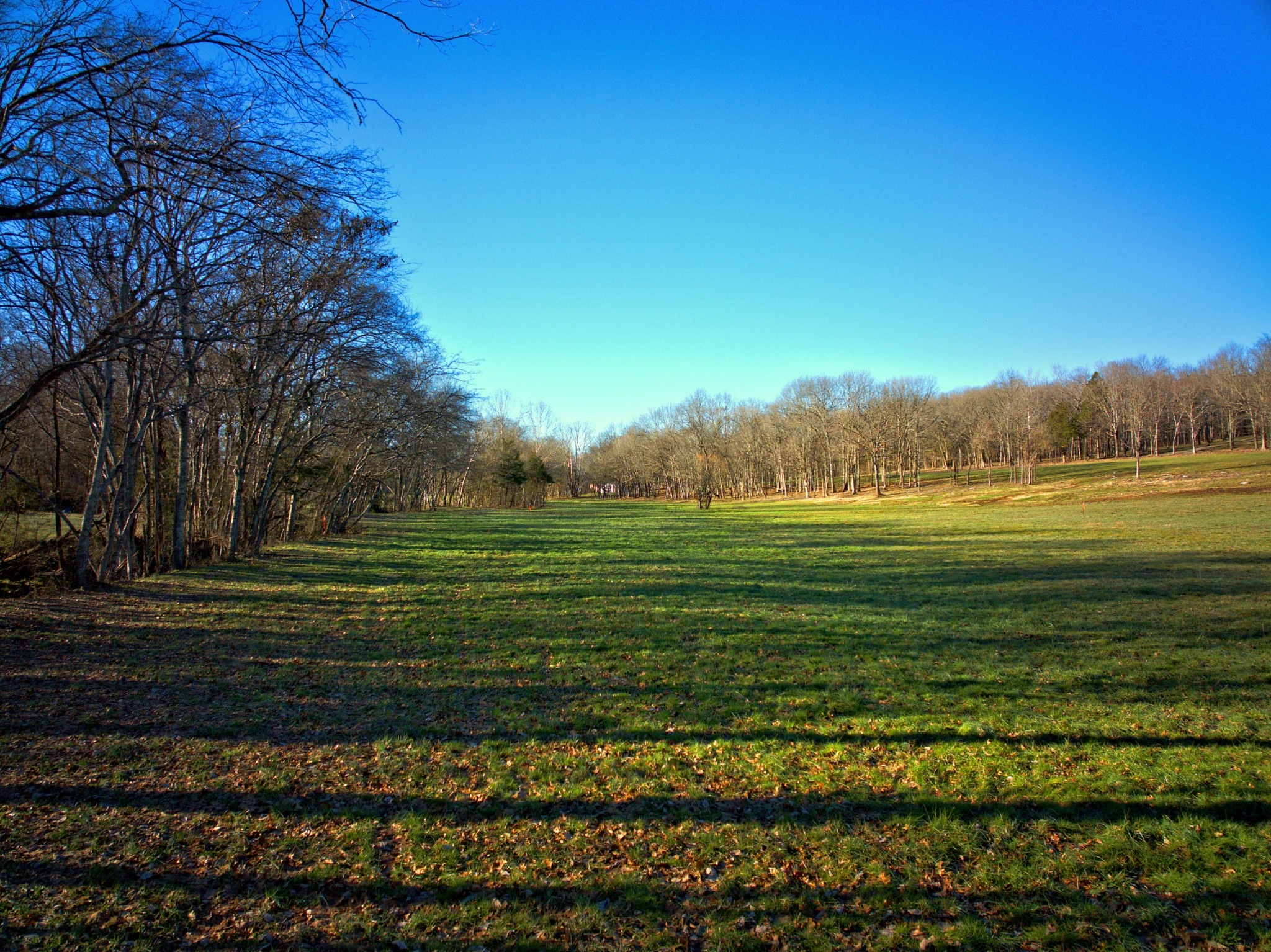9 Callis Road Lebanon, TN 37090 - Photo 2 of 11 a view of a big yard with large trees