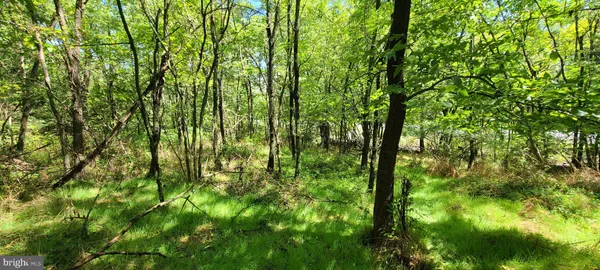 $110,000 | 209 Mineral Street, Middletown, VA 22645