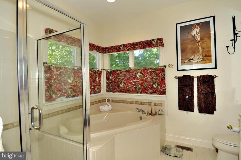 2331 Mt Tabor Road Gambrills, MD 21054 - Photo 8 of 27 Master Bath