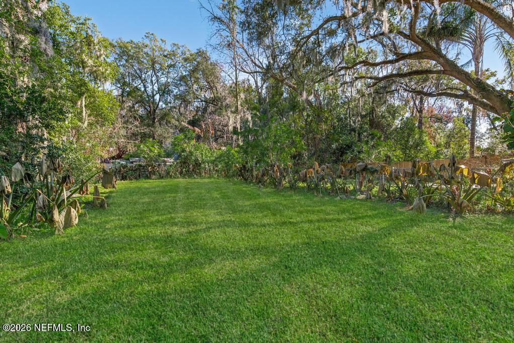 3415 Spring Glen Road Jacksonville, FL 32207 - Photo 30 of 34 3415 Spring glen Rd-15