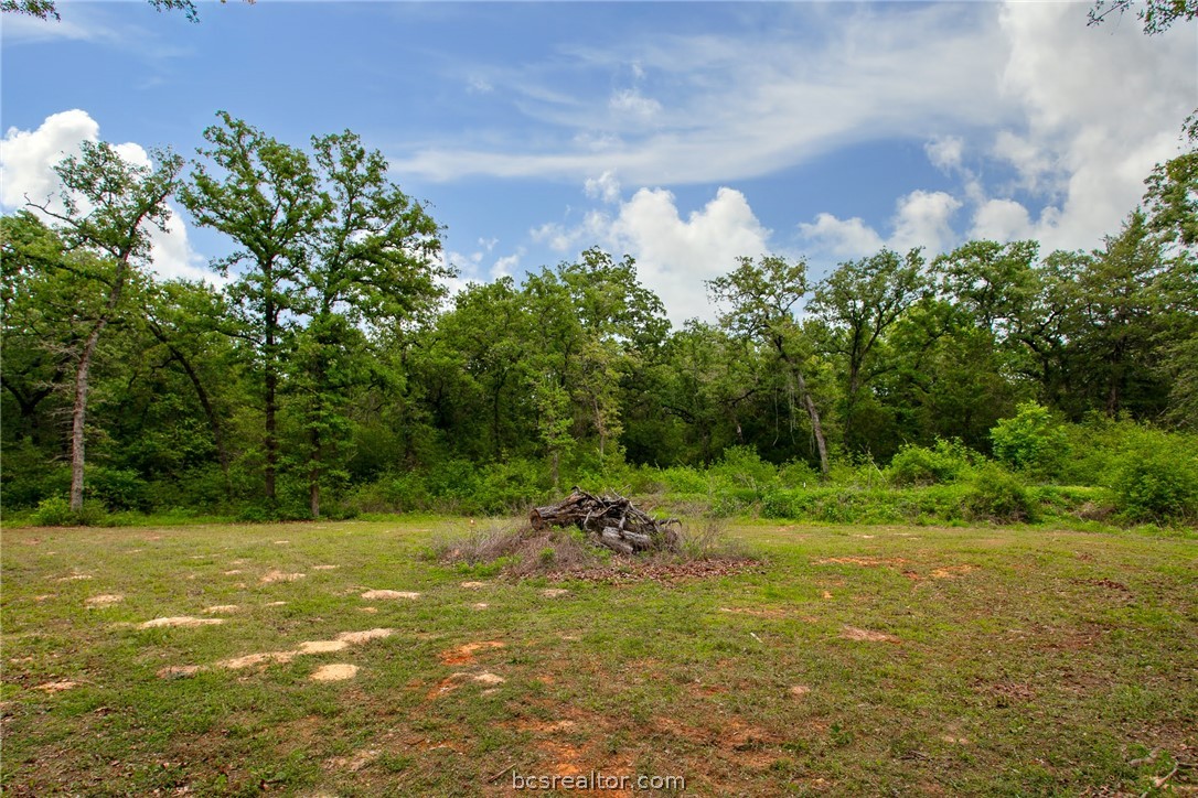 1629 Sawmill Road Franklin, TX 77856 - Photo 41 of 47 a backyard of a house with lots of green space and garden