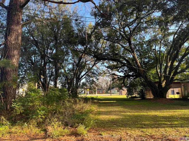 $30,000 | Tbd Lot 4 Tbd Street, Plaquemine, LA 70764