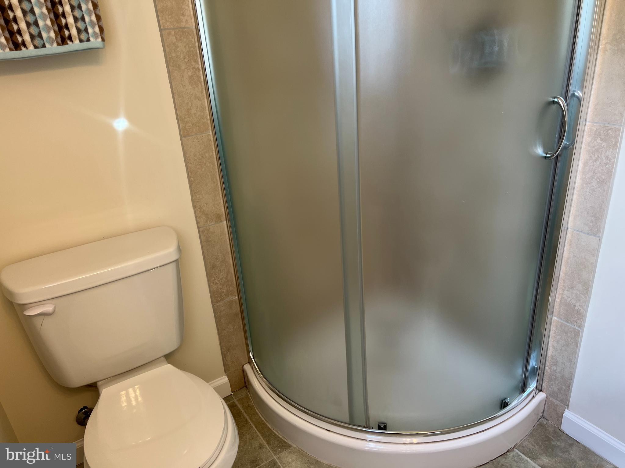 7618 Old Linton Hall Road Gainesville, VA 20155 - Photo 42 of 44 Lower level shower