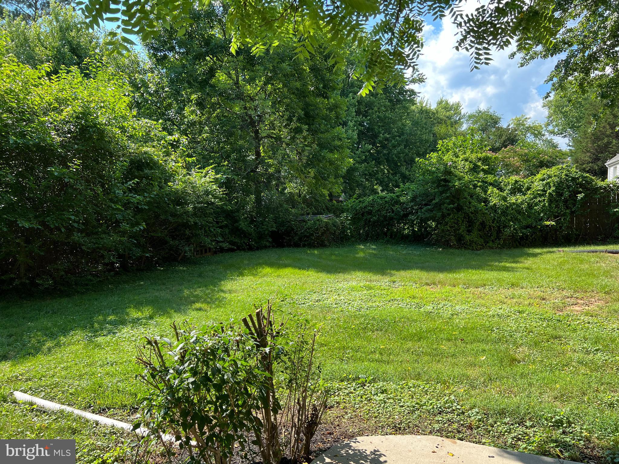 7618 Old Linton Hall Road Gainesville, VA 20155 - Photo 9 of 44 Back yard