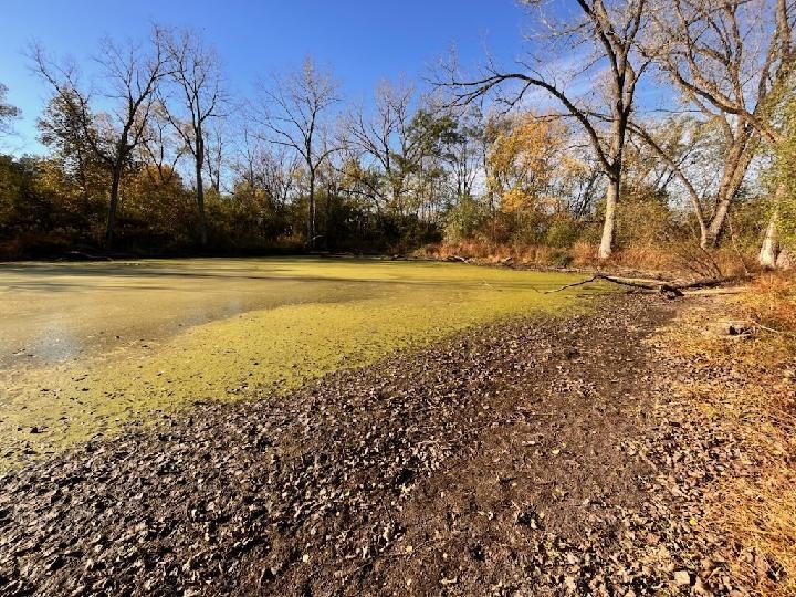 8087 Auburn Road Winnebago, IL 61088 - Photo 52 of 53