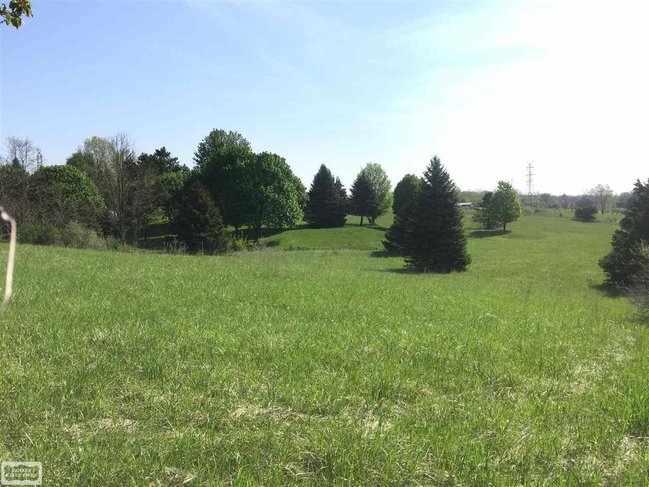 0 General Squier Road Dryden, MI 48428 - Photo 3 of 6 31358114-2.JPG