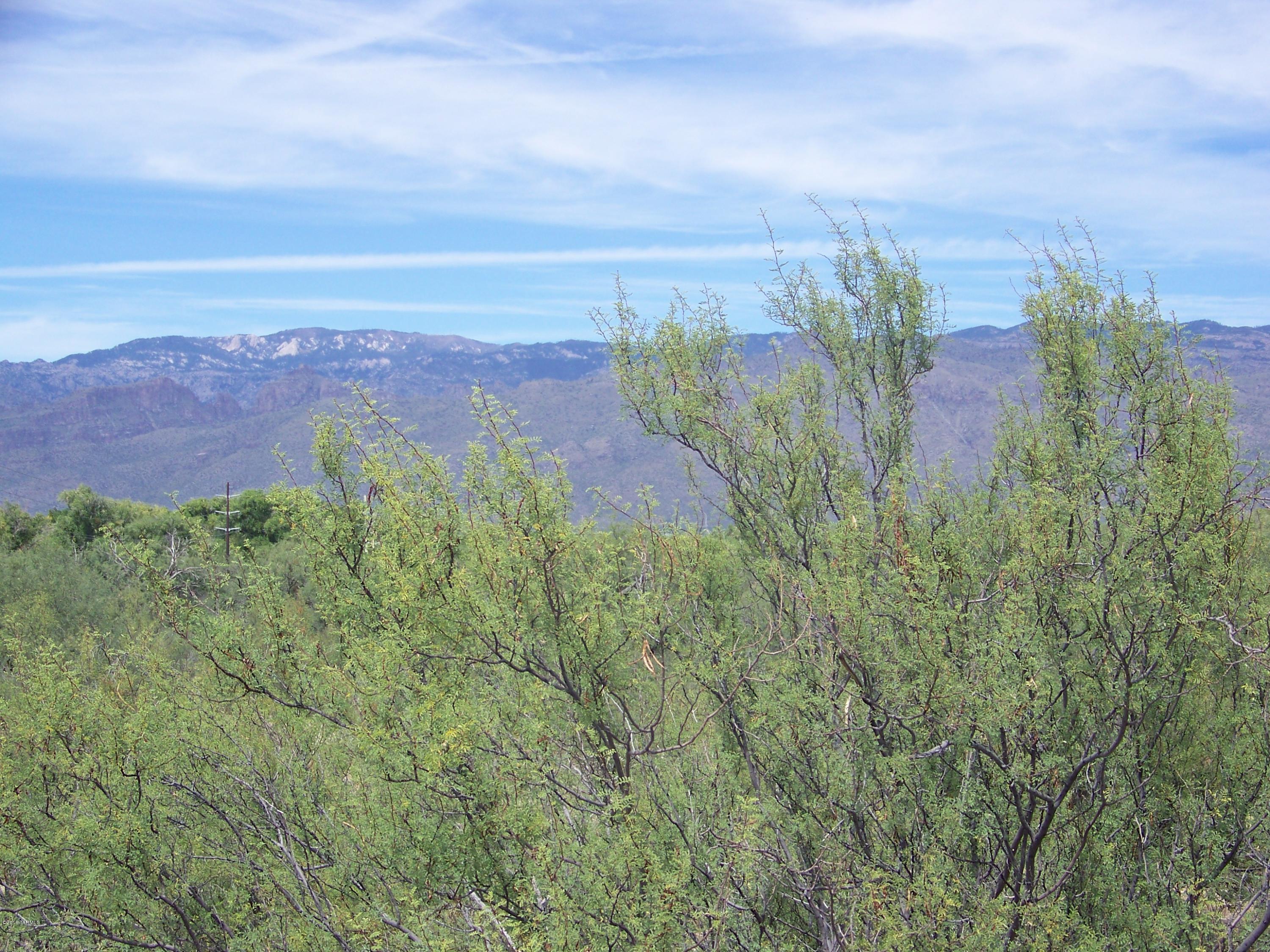 1326 North Tanque Verde Loop Road, Unit 1 Tucson, AZ 85749 - Photo 6 of 47
