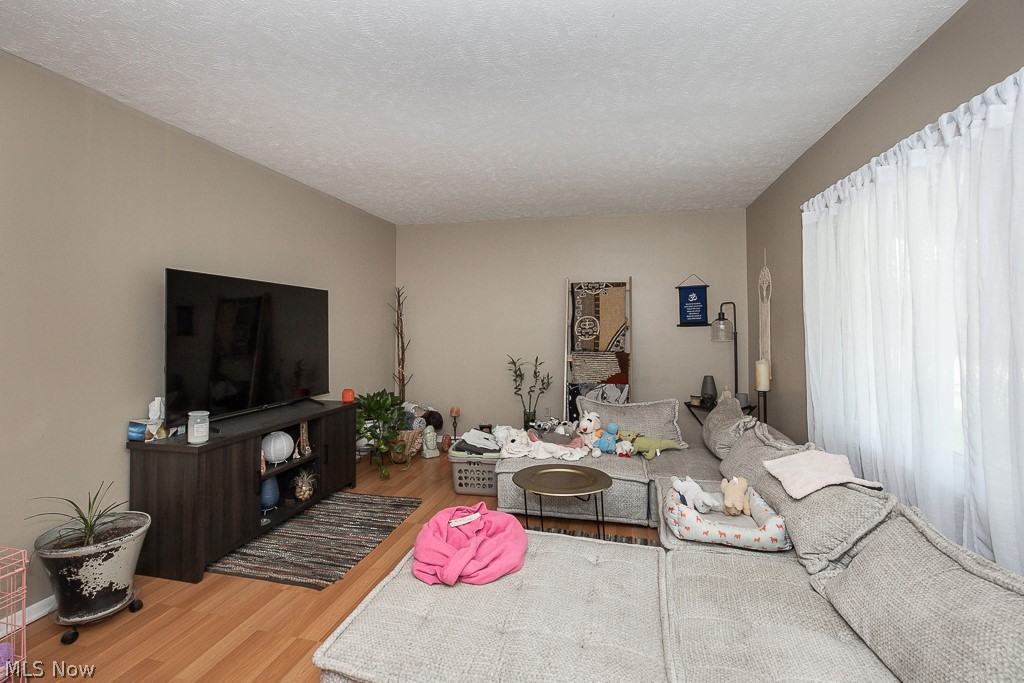 1405 Sheffield Road Cleveland, OH 44121 - Photo 5 of 29 Living room with light hardwood / wood-style floors and a textured ceiling