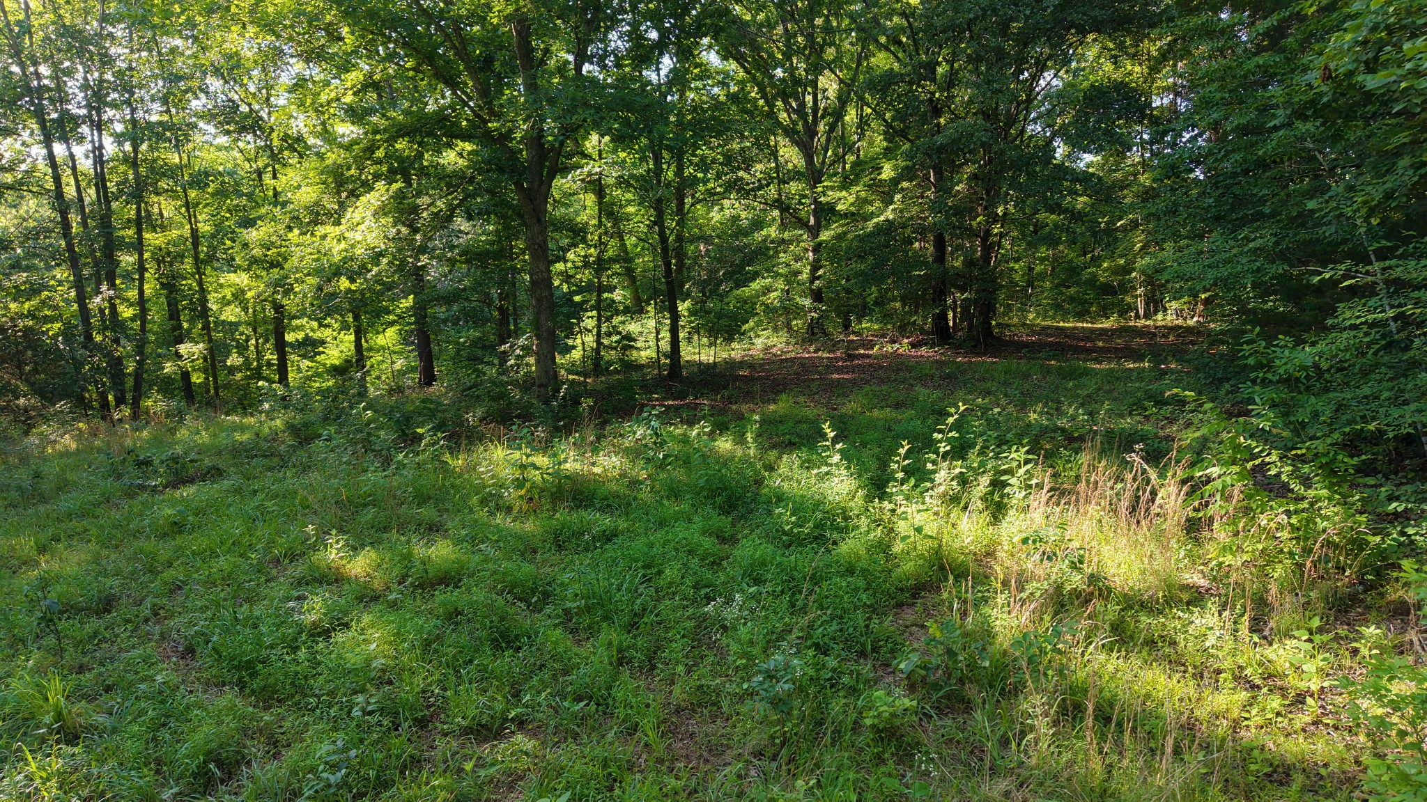 0 Gimlet Creek Road Lawrenceburg, TN 38464 - Photo 14 of 22