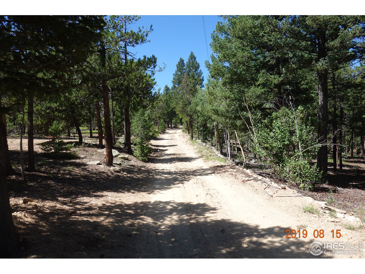 33656 Gap Road Golden, CO 80403 - Photo 34 of 37 Driveway