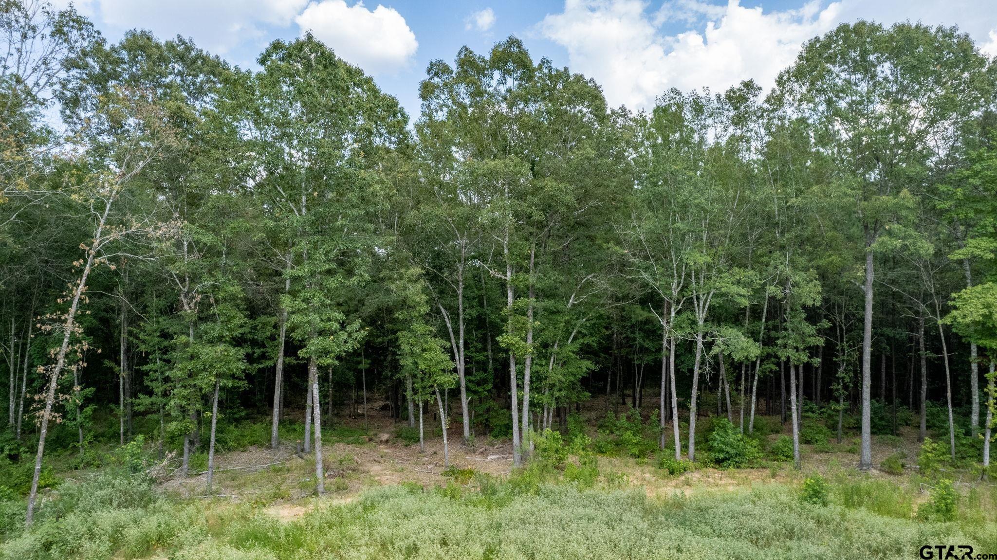 9299 Caddo Rdg Cove Tyler, TX 75703 - Photo 21 of 23