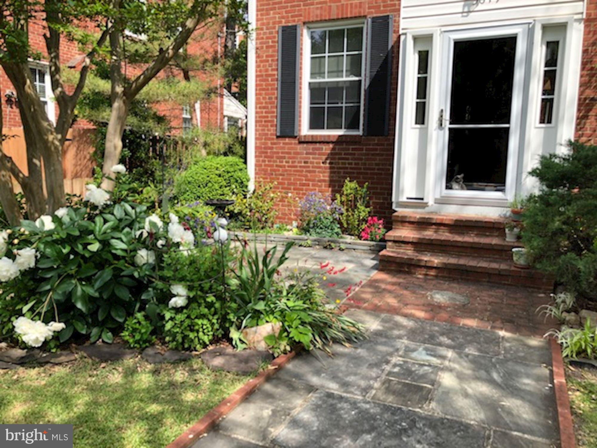 3619 1st Road South Arlington, VA 22204 - Photo 57 of 73 front landscaping