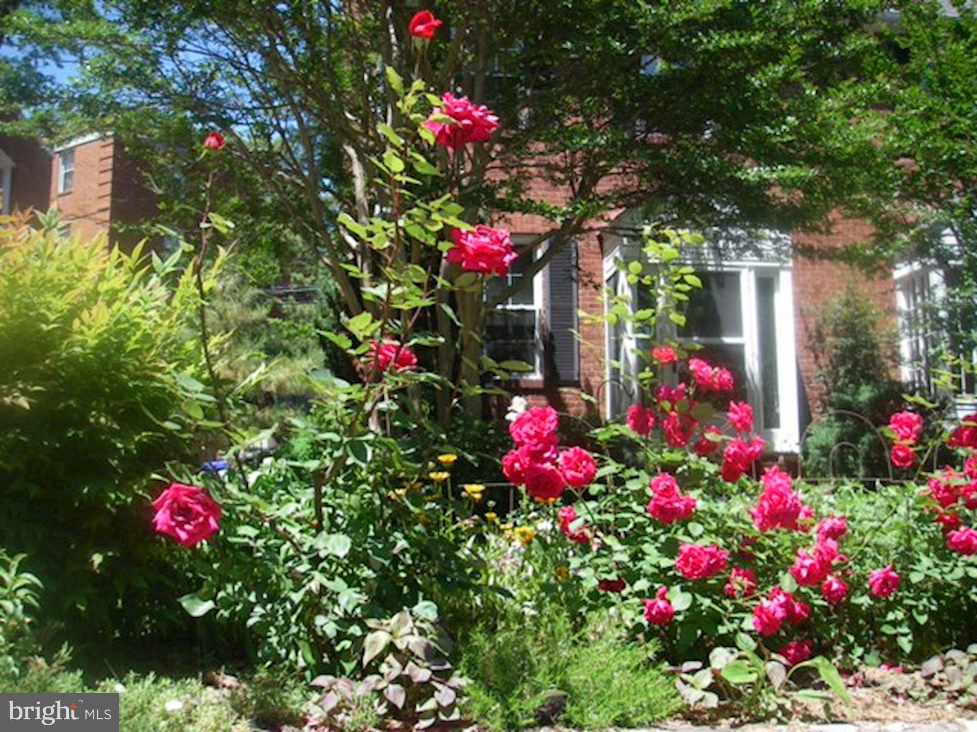 3619 1st Road South Arlington, VA 22204 - Photo 59 of 73 Gallery Image 59
