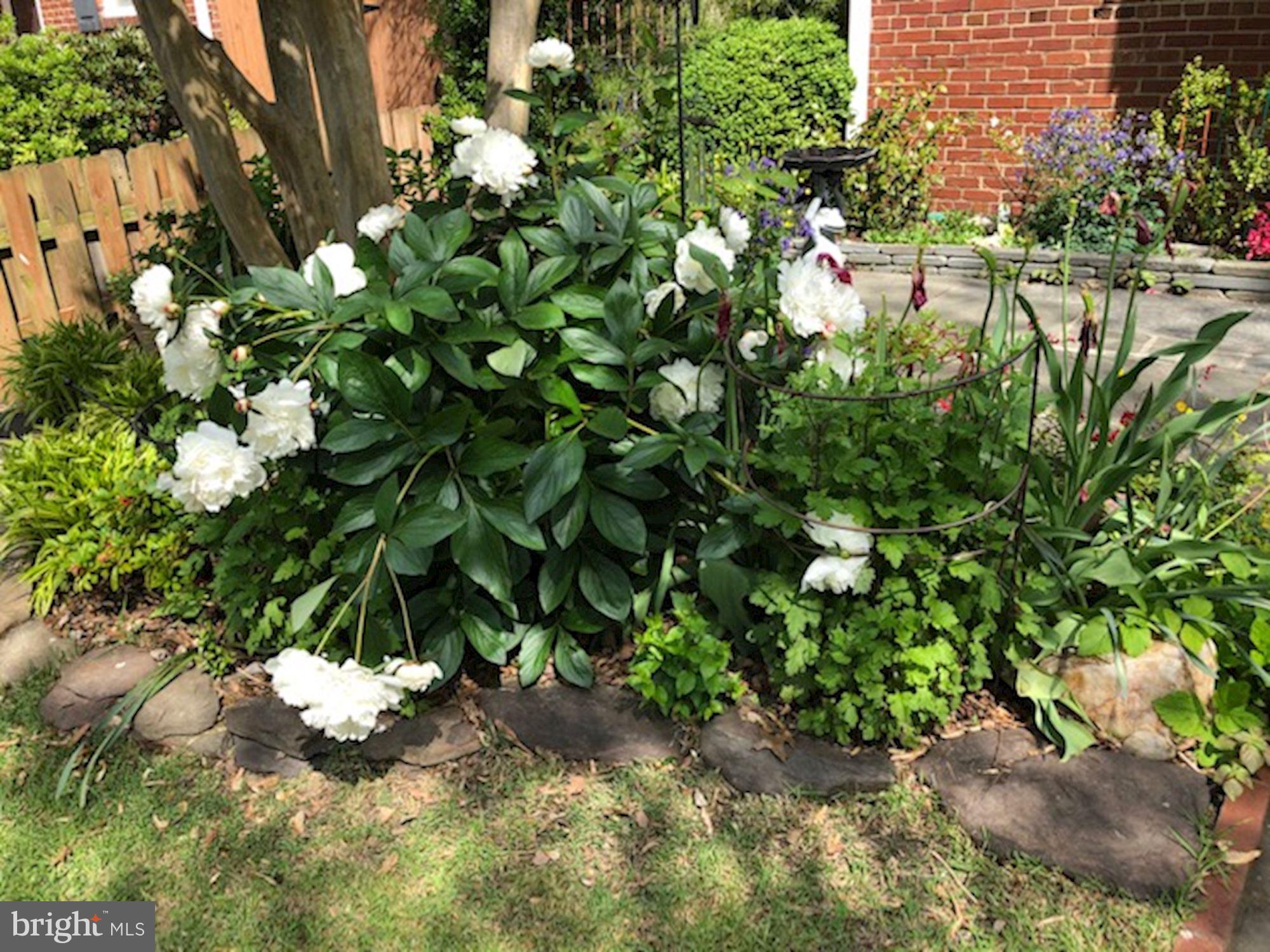 3619 1st Road South Arlington, VA 22204 - Photo 60 of 73 Gallery Image 60