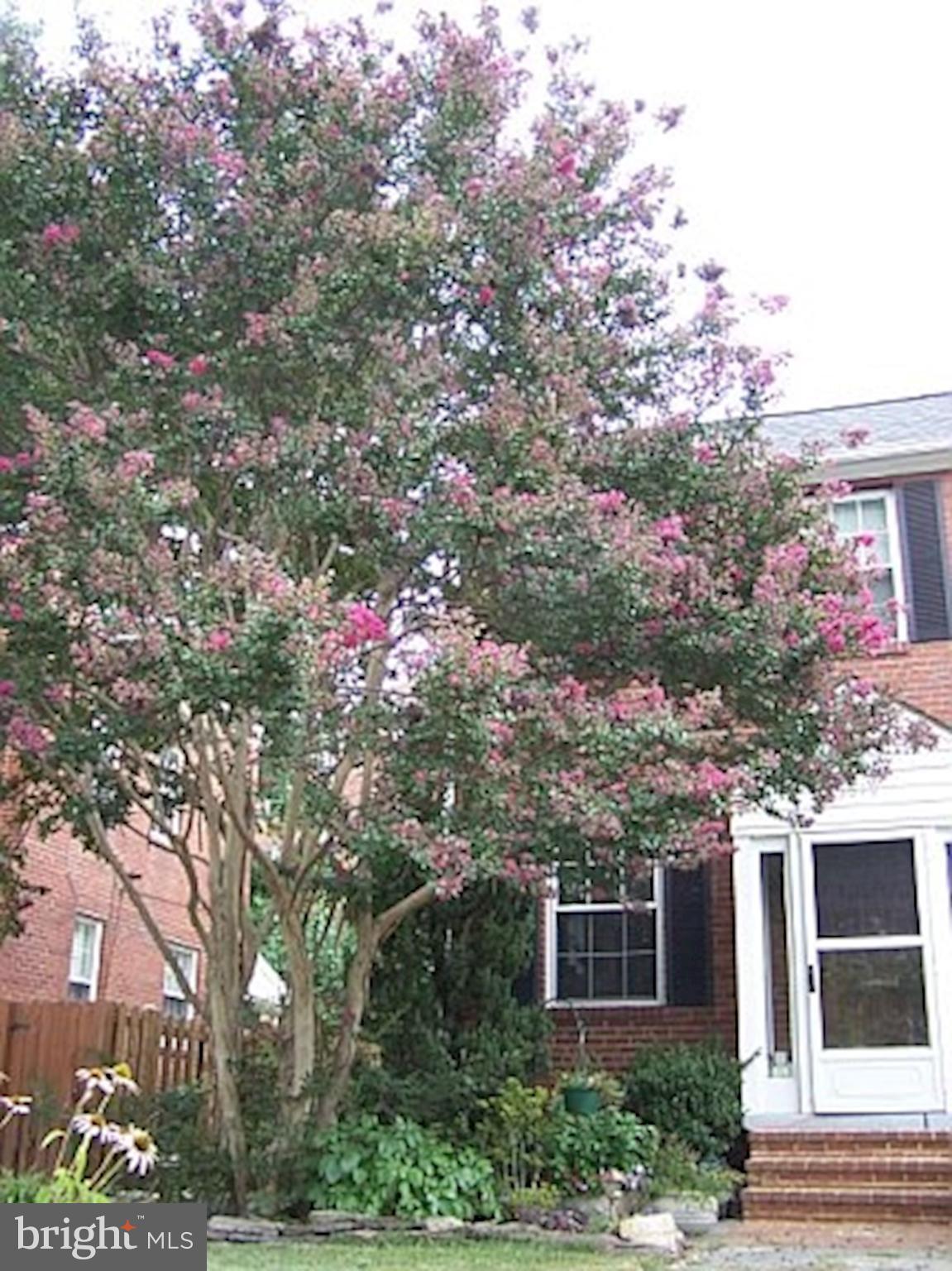 3619 1st Road South Arlington, VA 22204 - Photo 62 of 73 Gallery Image 62