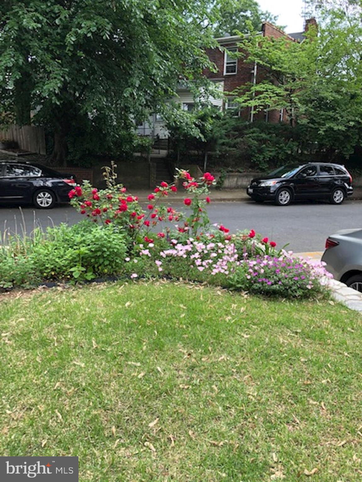 3619 1st Road South Arlington, VA 22204 - Photo 63 of 73 Gallery Image 63