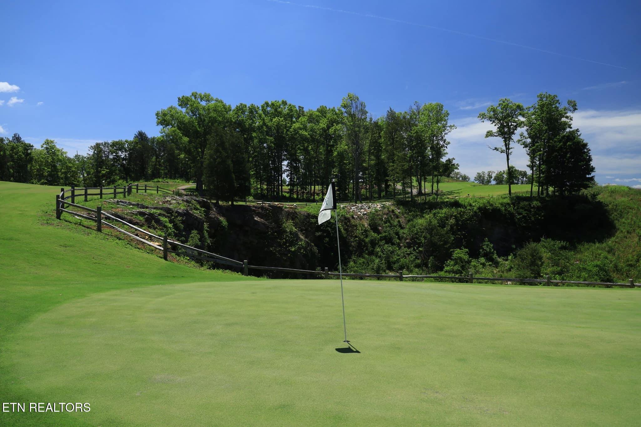 113 Hackberry Street Oak Ridge, TN 37830 - Photo 50 of 57 16. Golf Course