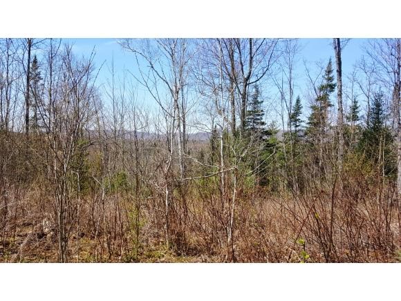 0 Littleton Road Whitefield, NH 03598 - Photo 11 of 19 Gallery Image 11