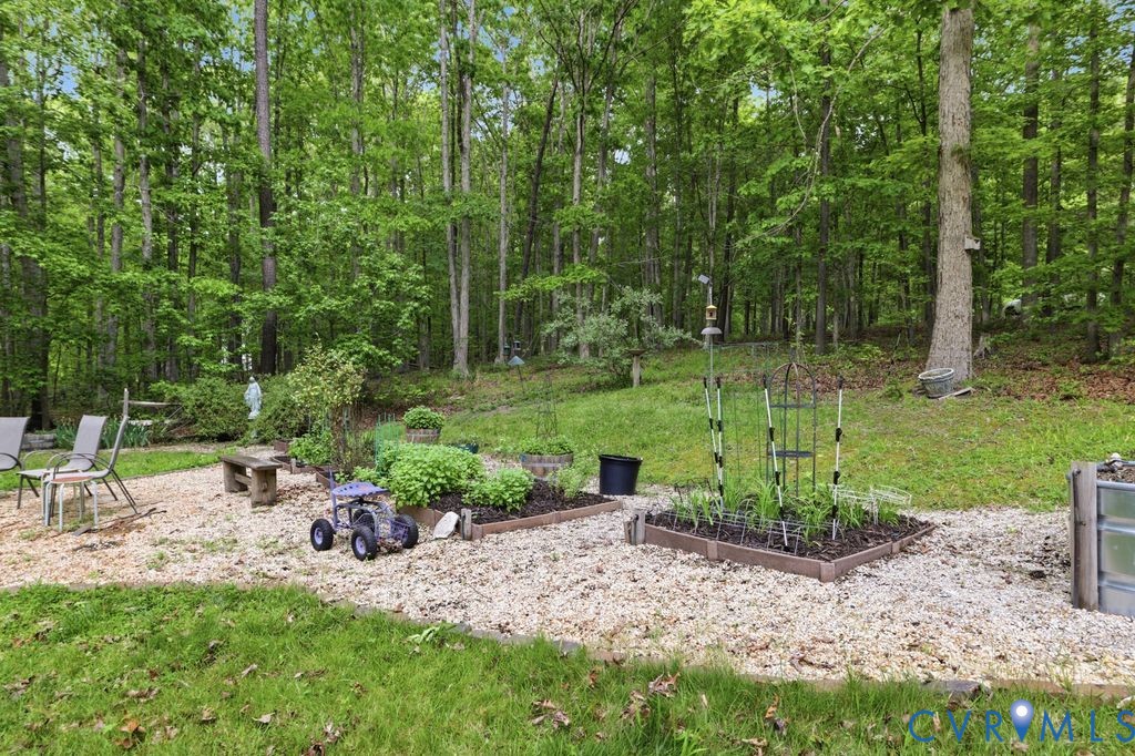 1061 Turkey Ridge Drive Moseley, VA 23120 - Photo 43 of 51 a view of backyard with green space