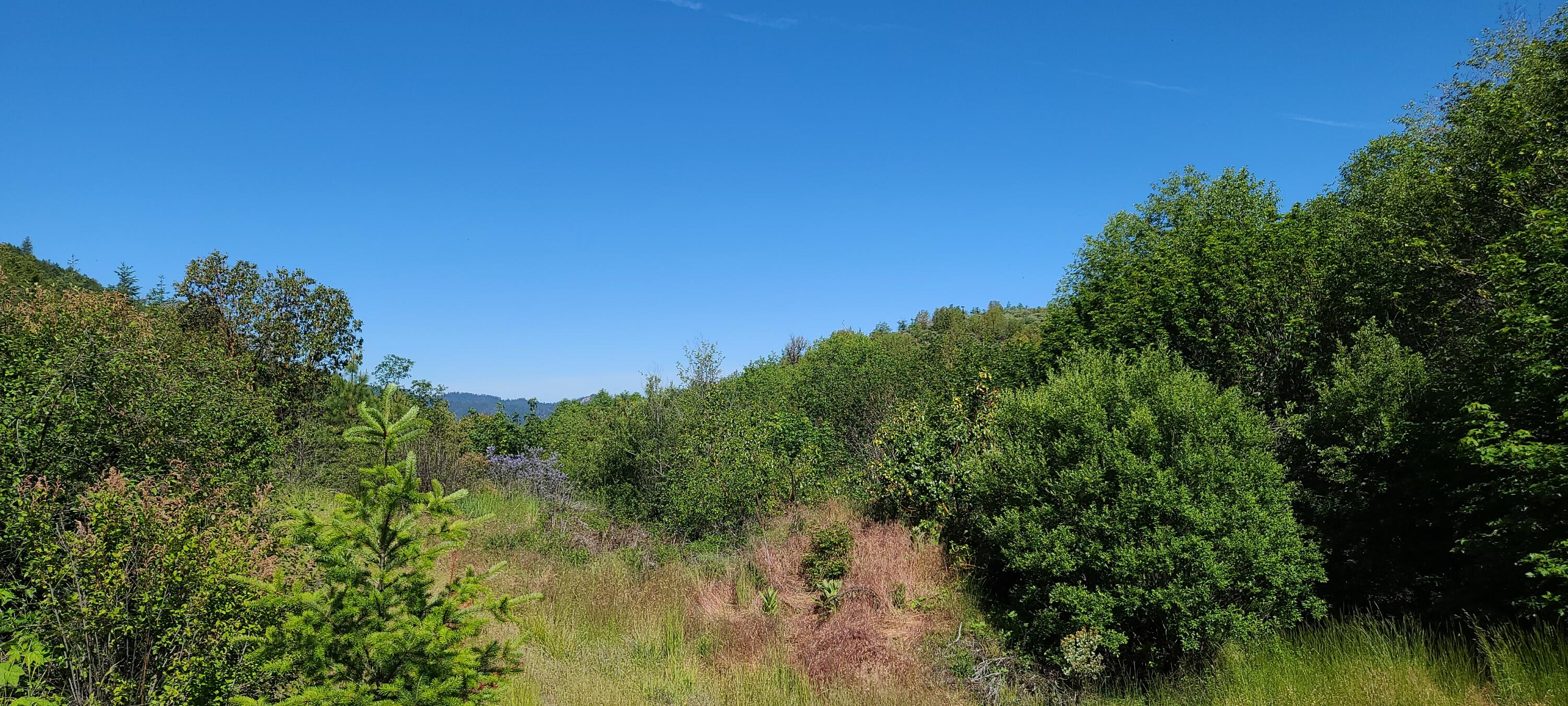Yale Cr Road Jacksonville, OR 97530 - Photo 24 of 28 20220622_101514