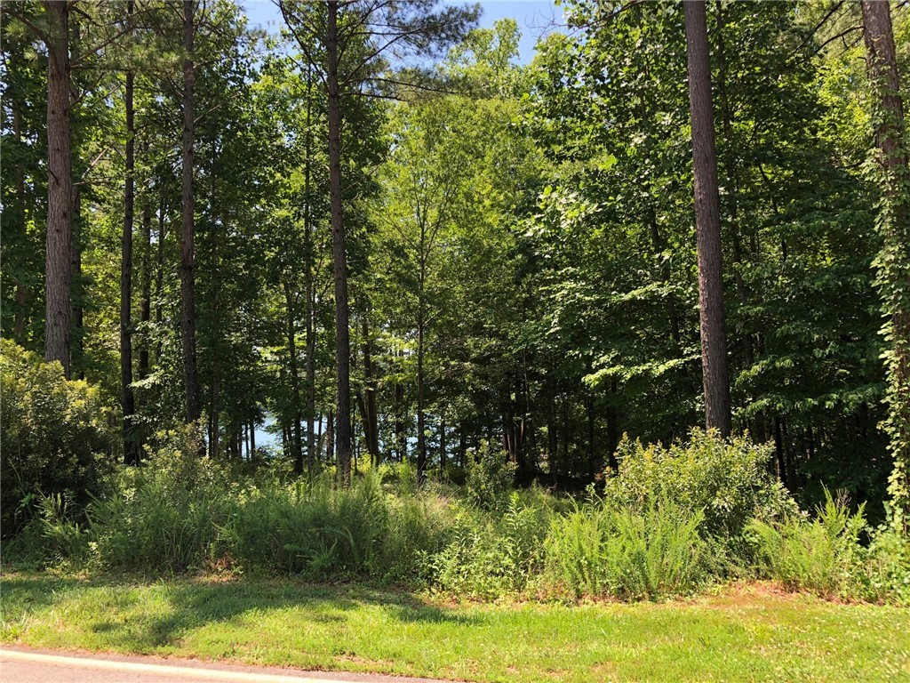 648 Crystal Cove Trail, Unit KFSTL057 Salem, SC 29676 - Photo 2 of 4