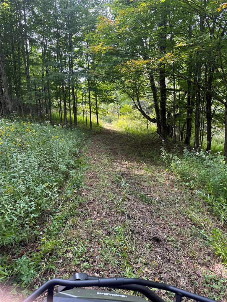 512 Fisher Road Alfred, NY 14806 - Photo 33 of 46 trails