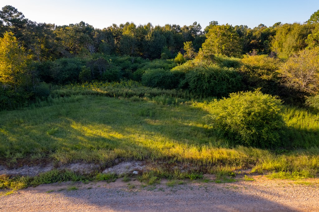 2226 Randall Wade Road Headland, AL 36345 - Photo 22 of 60