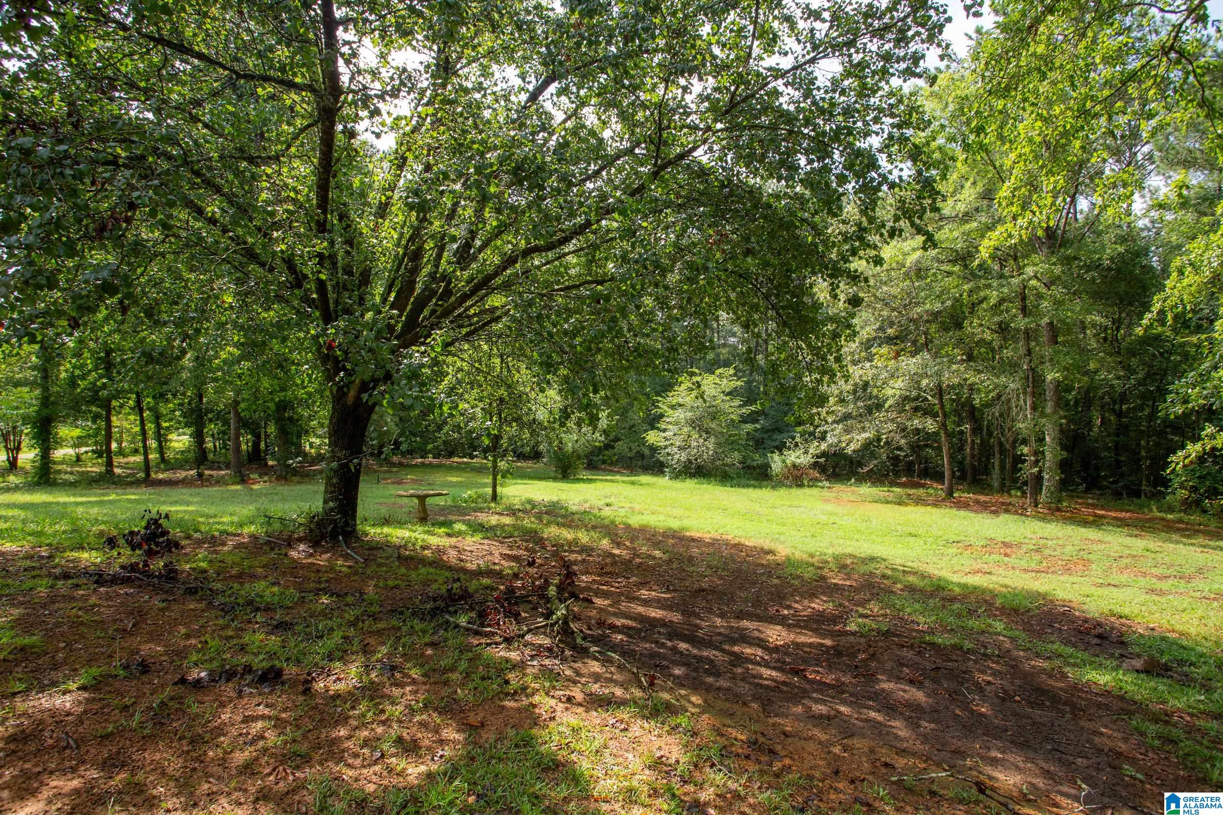 631 Holland-Finley Road Jacksonville, AL 36265 - Photo 23 of 26