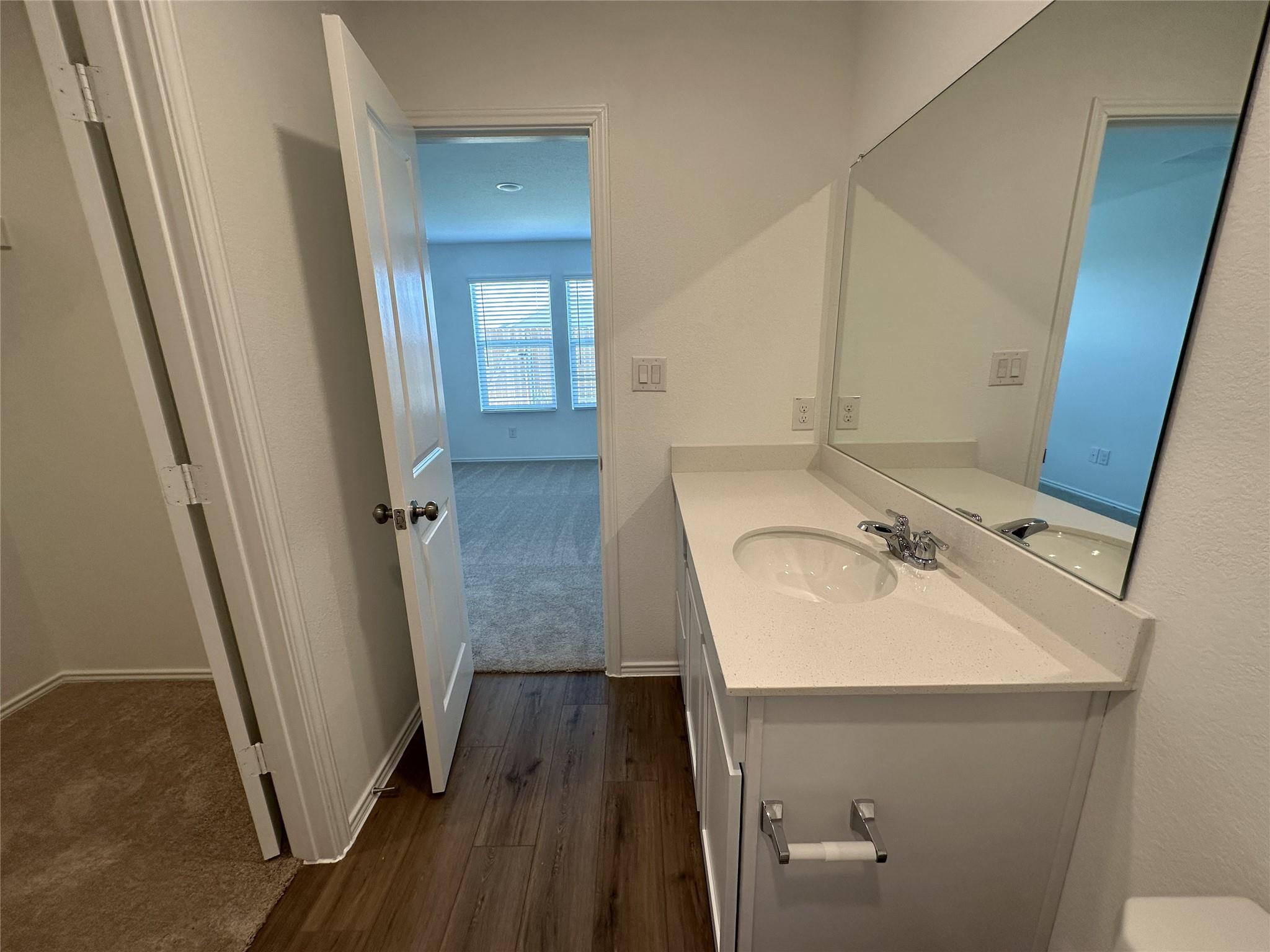 233 Magalia Lane Kyle, TX 78640 - Photo 27 of 37 Bathroom with vanity, dark wood-style flooring, and dark colored carpet