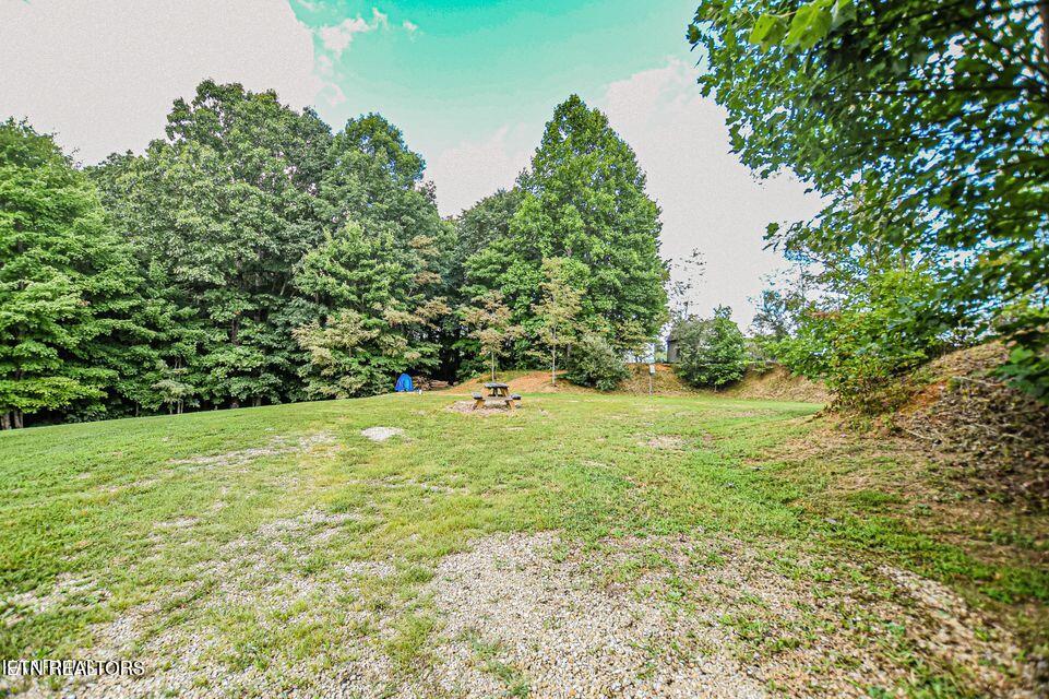 Racoon Lane Pioneer, TN 37847 - Photo 12 of 13 20220824184340688068000000-o