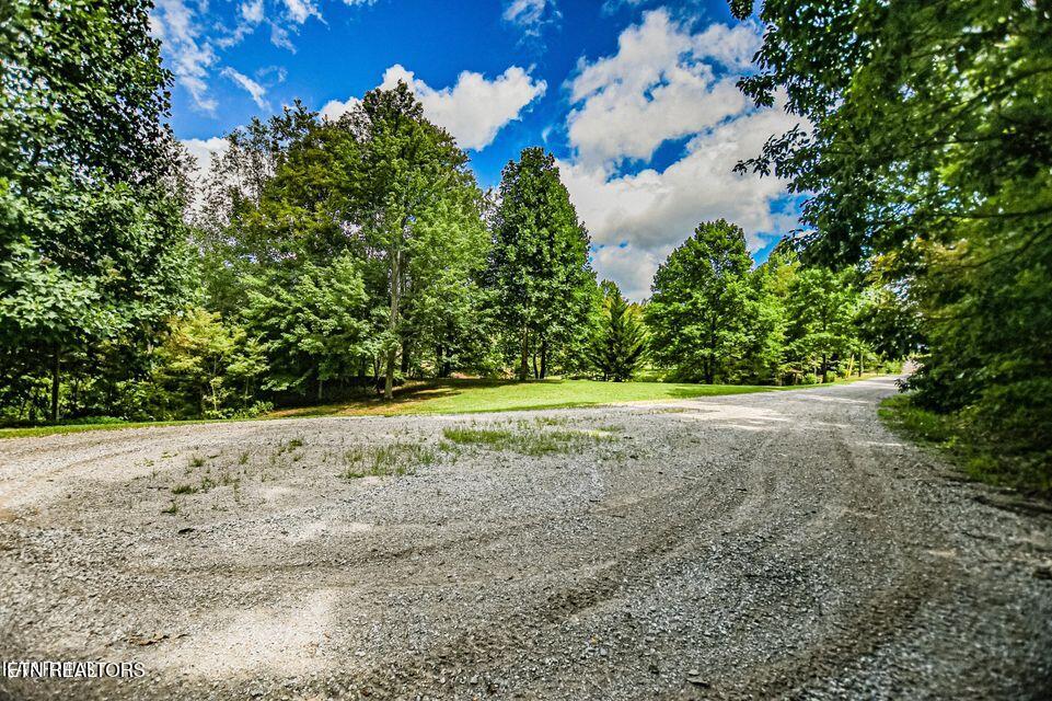 Racoon Lane Pioneer, TN 37847 - Photo 10 of 13 20220824184228630790000000-o