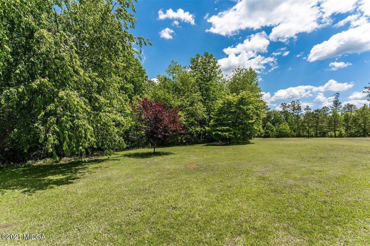 1900 Smith Road Forsyth, GA 31029 - Photo 26 of 28 a view of a field with an trees