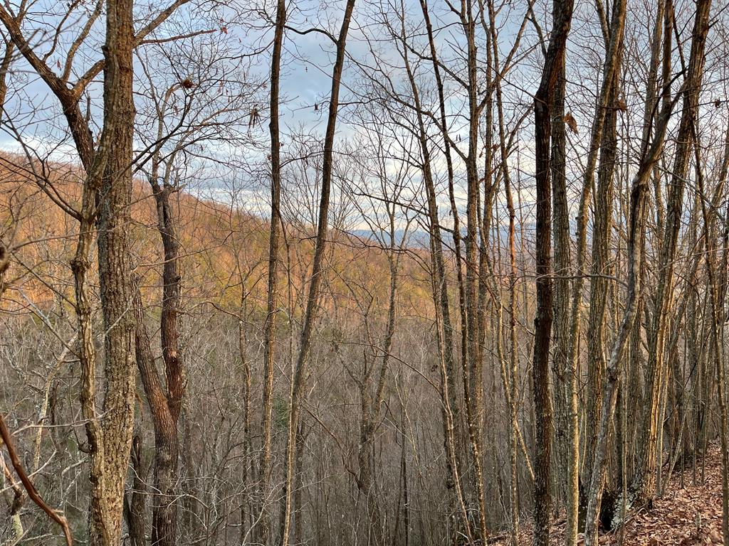 Tbd Carlock Creek Road Chilhowie, VA 24319 - Photo 4 of 12 Gallery Image 4
