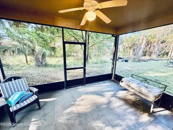 a living room with a rug bed and a large window