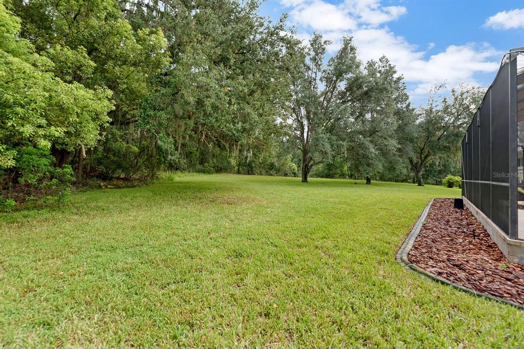 5711 Tanagerside Road Lithia, FL 33547 - Photo 62 of 72